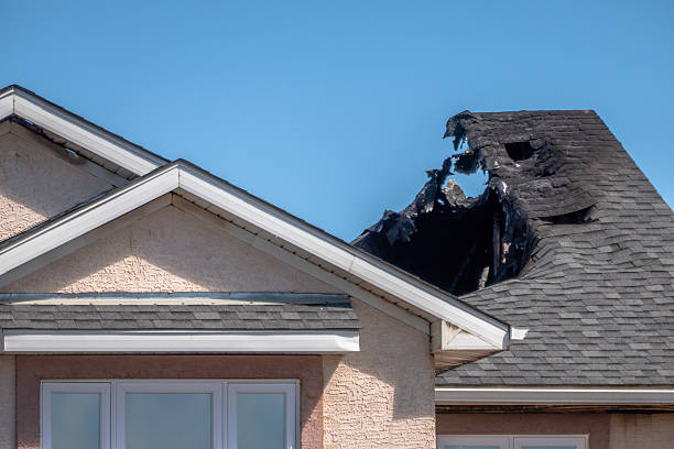 Top rated local Board Up Services specialists in Henderson, TX